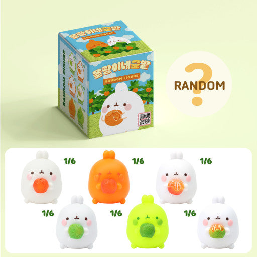 Molang Orange Blind Box (6/1)