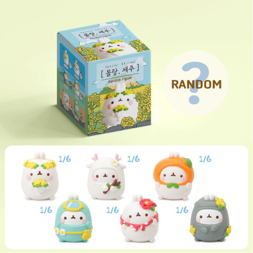 Molang Jeju Blind Box (6/1)