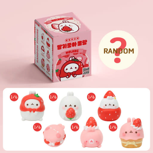 Molang Strawberry Lover Blind Box (6/1)