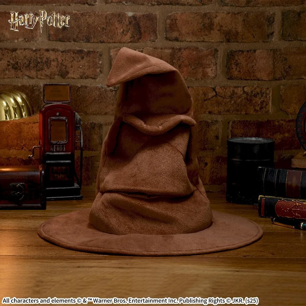 Sega Harry Potter Platinum Zakka Sorting Hat