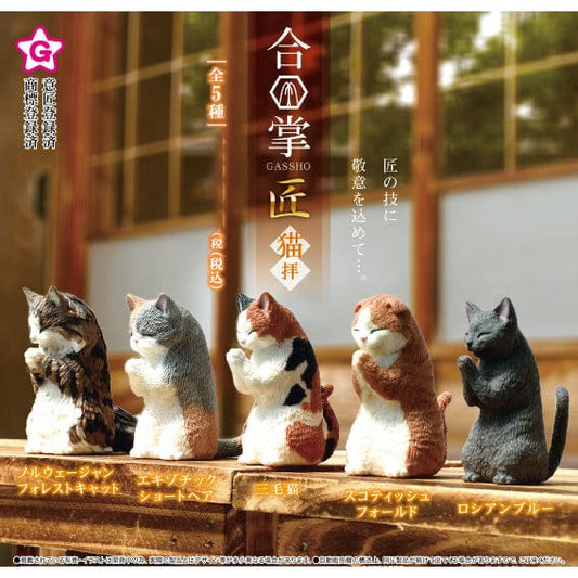 Yell Gassho Prayer Cat Bind Box (10/1)
