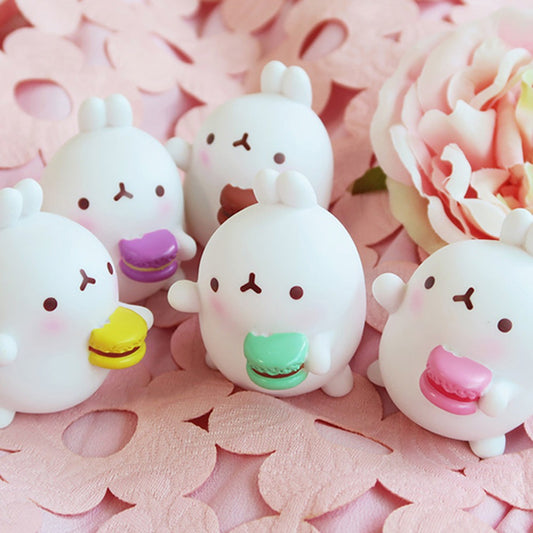 Molang Sweet Macaron 5 Set