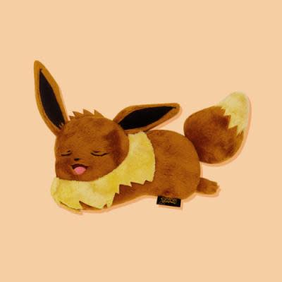 Pokemon Eevee Pouch